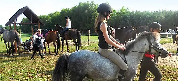 Mini-hôtel Modrzewie Goleniów