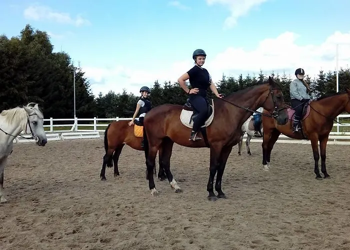 Modrzewie * Goleniów